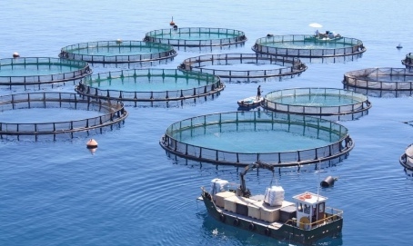 1672761564799888.jpg 1672761522020.jpg