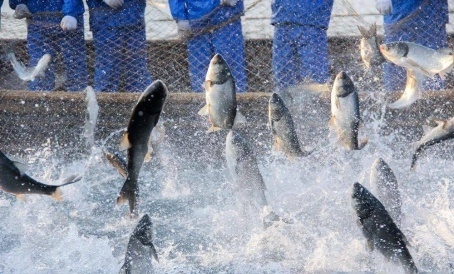 1672761616718898.jpg 1672761580574.jpg